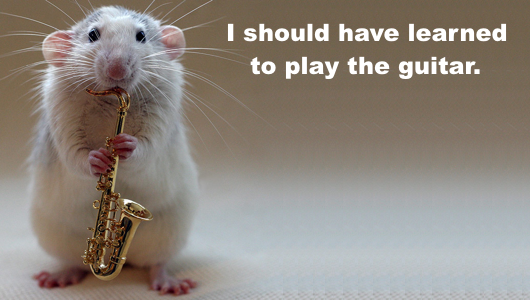 Clarence Clemons felt the same way.