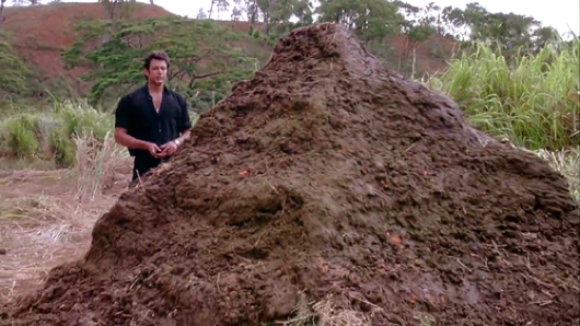 This story is Jeff Goldblum approved